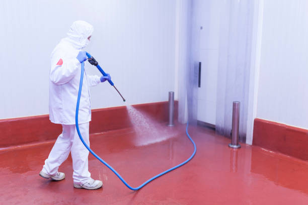 Best Patio and Deck Pressure Washing  in Placerville, CA